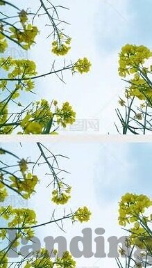 凹凸世界手游下载九游-体验奇幻冒险，探索凹凸世界的奥秘