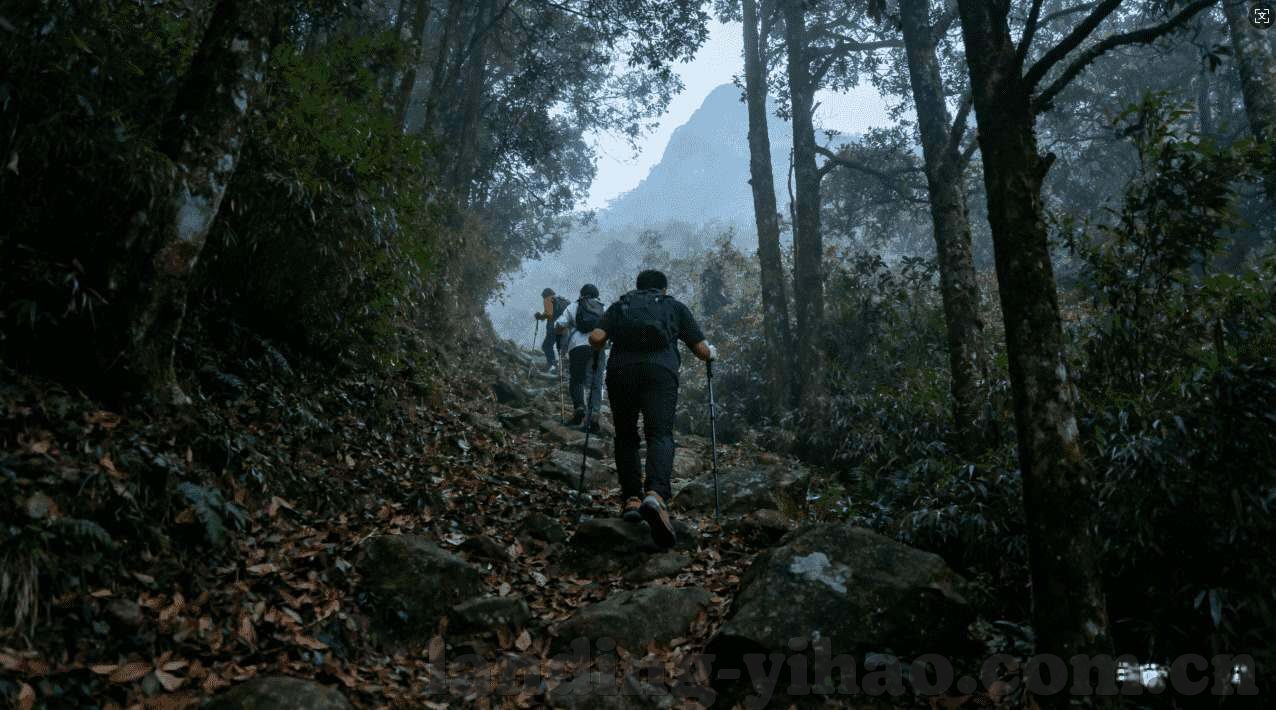 买世界杯彩票图片-买世界杯彩票，一场激情与梦想的碰撞