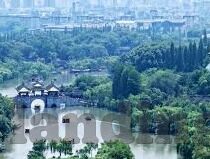 世界杯中国队有在吗-世界杯中国队在与否，历史、现状与挑战